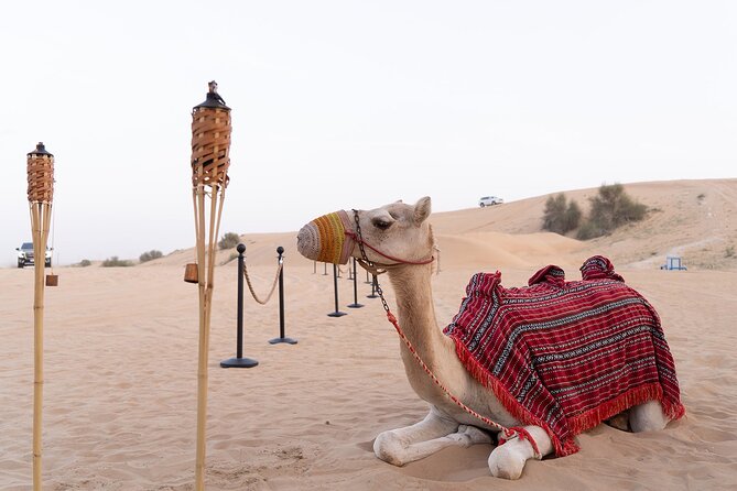Dubai Premium Desert Safari with Dinner & Shows (Private Car) - Key Things to Know Before You Go