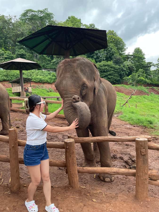 Elefin Farm & Cafe Half-day tour with Private Car - Key Things to Know Before You Go