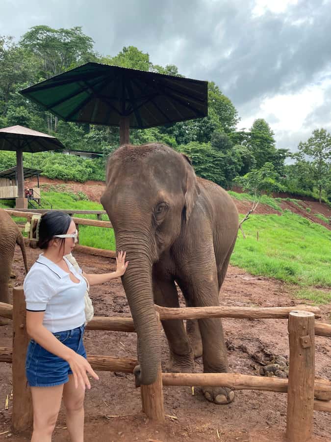 Elefin Farm & Cafe Half-day tour with Private Car - Wat Phra That Doi Kham: Temple Stop With Real-World Photo and Advice