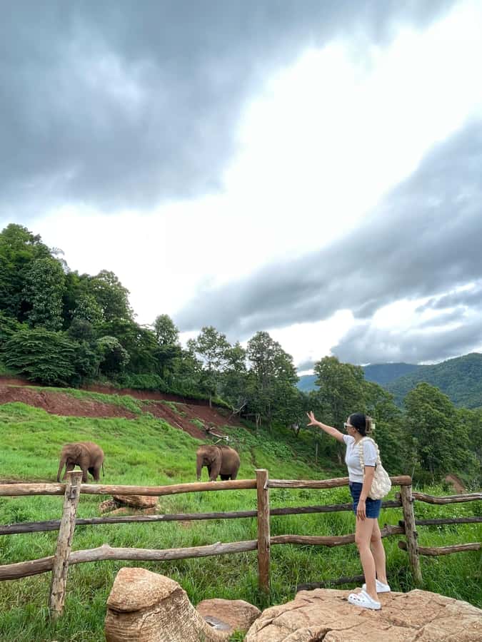 Elefin Farm & Cafe Half-day tour with Private Car - Private Car Value: Why $109 for Up to 3 Can Make Sense