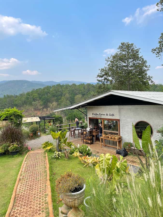 Elefin Farm & Cafe Half-day tour with Private Car - Should You Book Elefin Farm & Cafe + Wat Phra That Doi Kham?