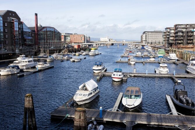 Exclusive Guided & Customized Private Oslo City Tour in Limo - The 800-Year Fortress View and the Royal Guard Walk Near the Palace