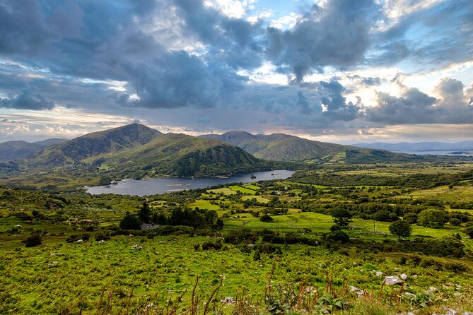 Exclusive Private Ring of Beara Tour from Killarney - Healy Pass and Castletownbere: famous roads, then real food potential