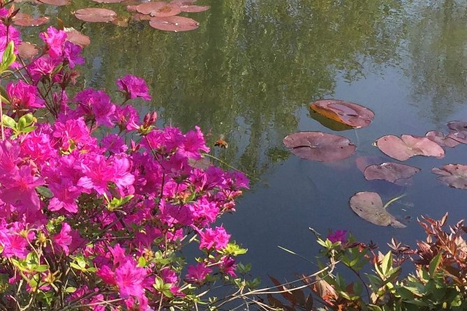 Excursion CHATEAU DE VERSAILLES and GIVERNY in Limousine from Paris - Who This Versailles and Giverny Limo Tour Suits Best