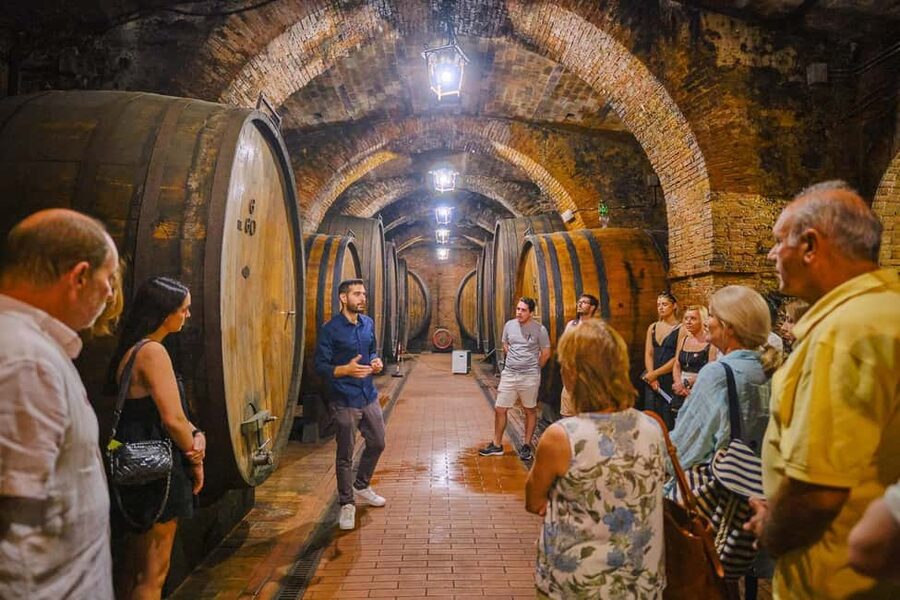 Florence: Val d'Orcia Private Chauffeur-Driven Tour - The private chauffeur setup: what you’re actually buying