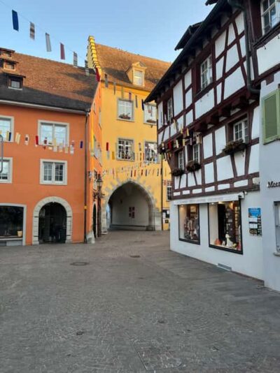 From Basel: 4 Countries and Lake Bodensee Private Car Tour - Inside the Mercedes-Benz 4x4: comfort, air conditioning, and real-time flexibility