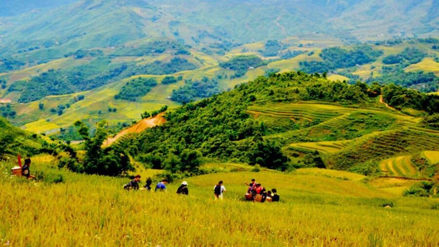 From Hanoi: 2-Day Overnight Sapa Tour by Limousine - Should you book this 2-Day Overnight Sapa Tour from Hanoi?