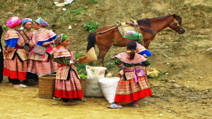 From Hanoi: 2-Day Overnight Sapa Tour by Limousine - Who this overnight Sapa tour is best for (and who should skip it)