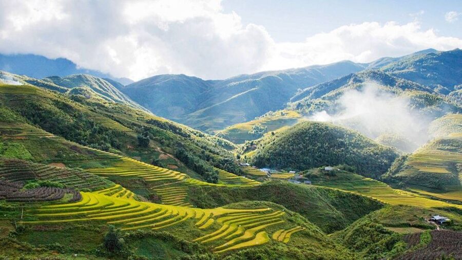 From Hanoi: 2-Day Overnight Sapa Tour by Limousine - Day 1: Sin Chai village trek down from Sapa (and why this stop matters)