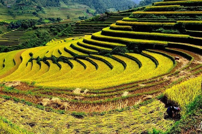 From Hanoi: 2-Day Overnight Sapa Tour by Luxury Van Limousine - Sapa overnight: hotel comfort vs the homestay experience
