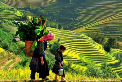 From Hanoi: 2-Day Overnight Sapa Tour by Luxury Van Limousine - Guides make or break the trek: what the best ones do
