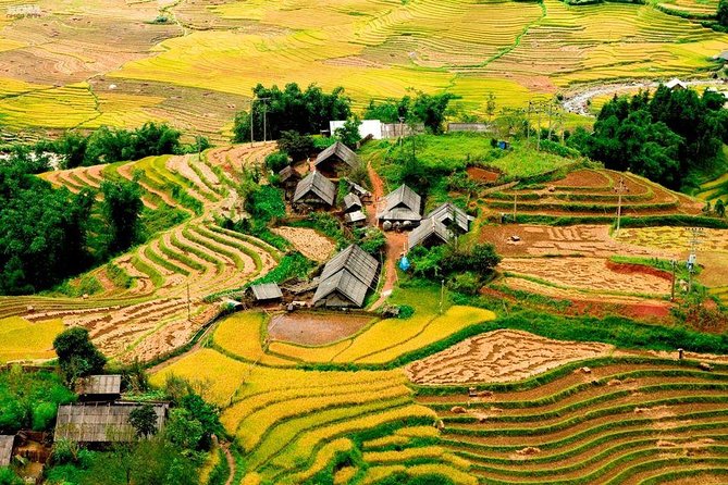 From Hanoi: 2-Day Overnight Sapa Tour by Luxury Van Limousine - Day 2: village circuits and rice-terrace trekking (mud level included)
