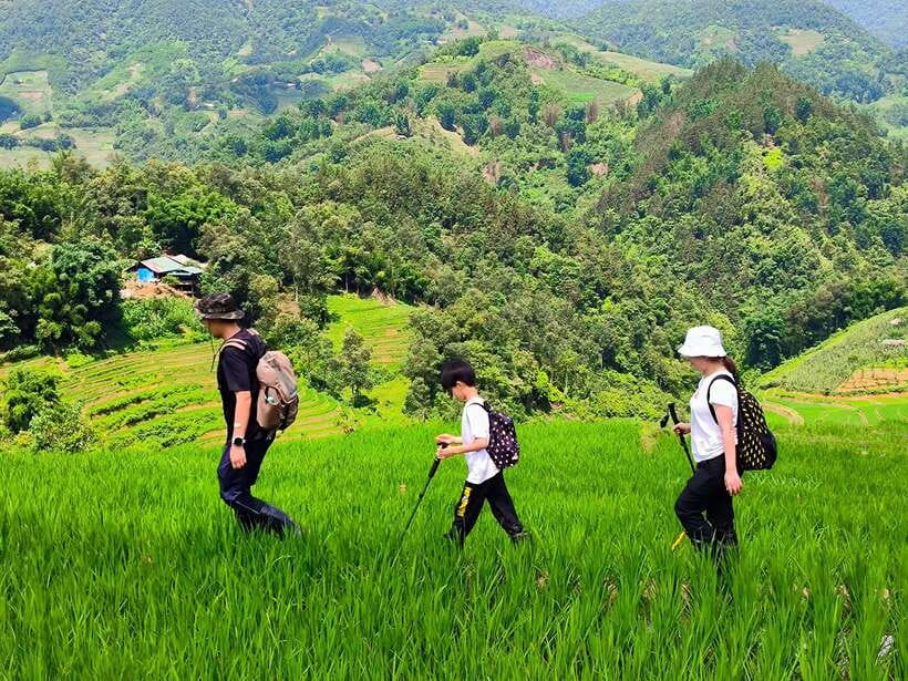 From Hanoi: 2-Day Sapa Trek Tour - Luxury Limousine Transfer - Meals Included: Local Vietnamese Set Menus (and Vegan Options)