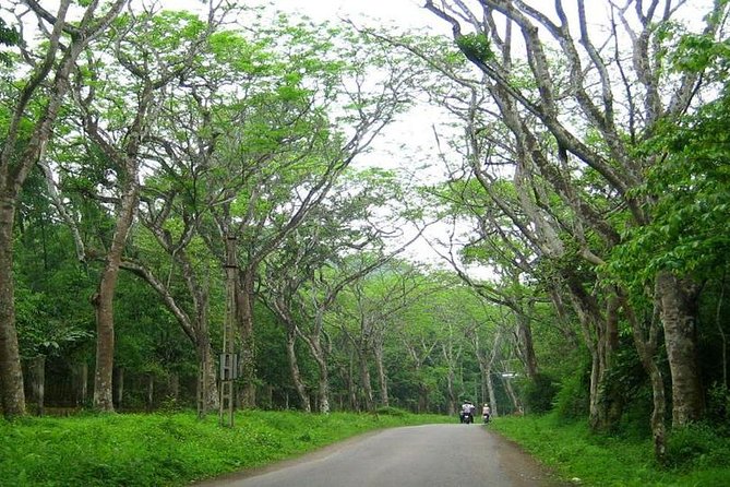 From Hanoi: Cuc Phuong National Park Day Trip by Private Car - Endangered Primate Rescue Centre: Conservation With Real Institutional Backing