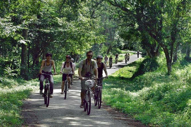 From Hanoi: Cuc Phuong National Park Day Trip by Private Car - Cuc Phuong National Park: Vietnam’s Oldest, Largest Biodiversity Stop
