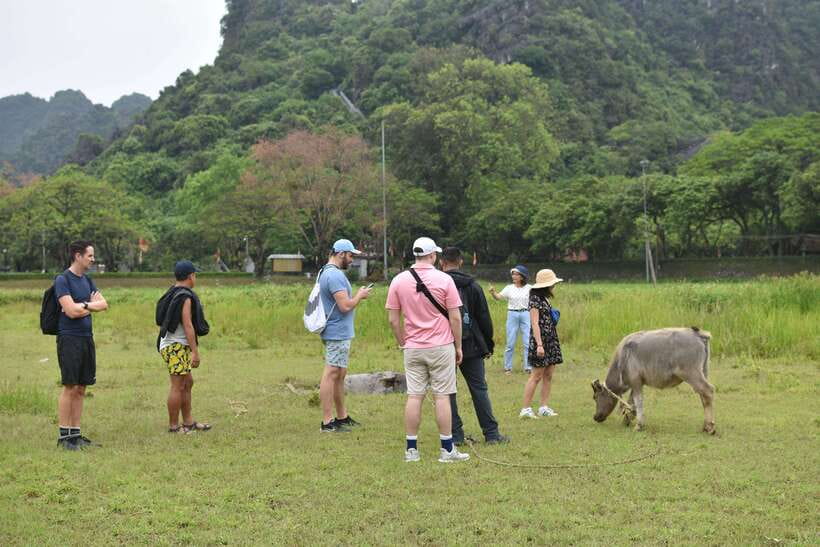 From Hanoi: Ninh Binh, Hoa Lu, Tam Coc, & Mua Cave Day-Trip - Buffet lunch in Ninh Binh: included, local, and flexible