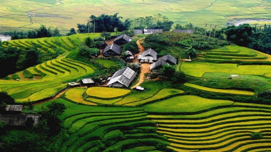 From Hanoi: Sapa 3-Day Medium Trek and Limousine Trip - Day 1: Sin Chai village walk and a first night in Sapa town