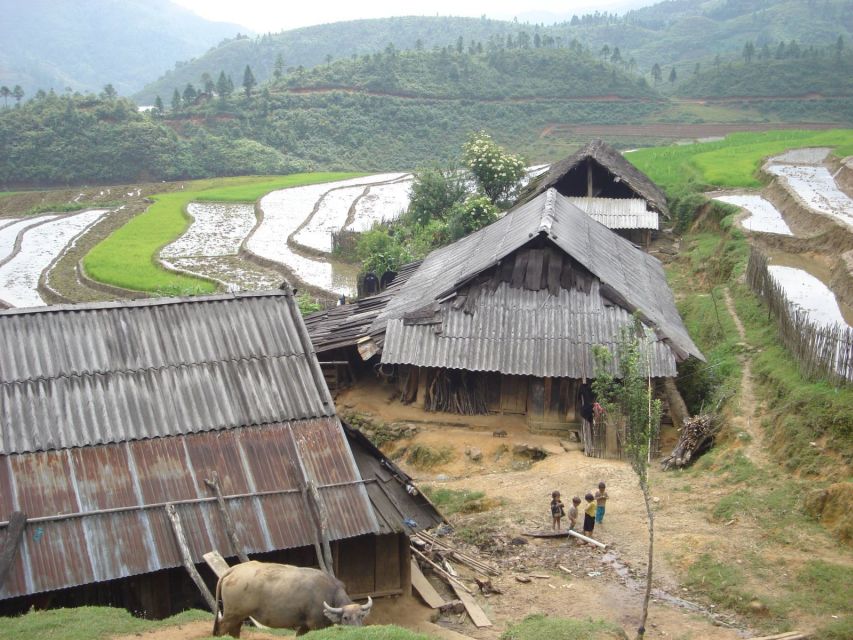 From Hanoi: Sapa 3-Day Medium Trek and Limousine Trip - Day 3: Giang Ta Chai Red Zao village, bamboo forest, and a waterfall reset