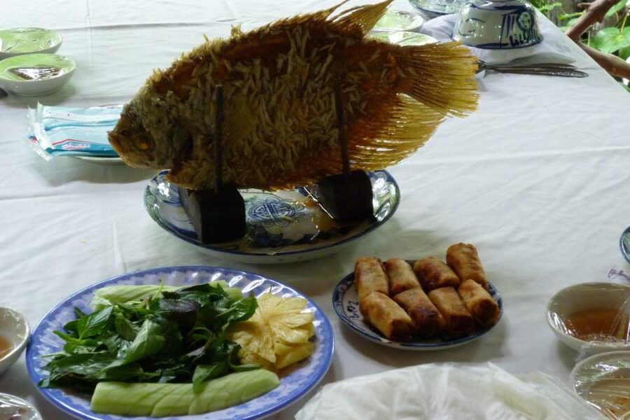 From Ho Chi Minh City: Mekong Delta VIP Tour by Limousine - Price and Value: What $49 Buys in a Full 9-Hour Day