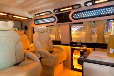 From Ho Chi Minh City: Mekong Delta VIP Tour by Limousine - The 90-Minute Limousine Ride: Rice Fields, Real Life, Then My Tho