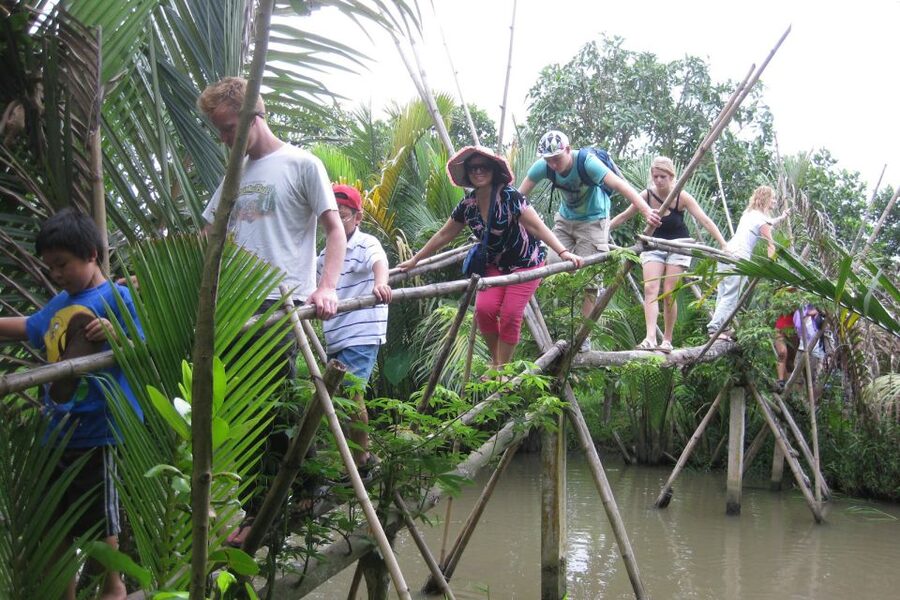 From Ho Chi Minh City: Mekong Delta VIP Tour by Limousine - Coconut Island + Village Time: Honey Tea, Tropical Fruit, and Coconut Candy