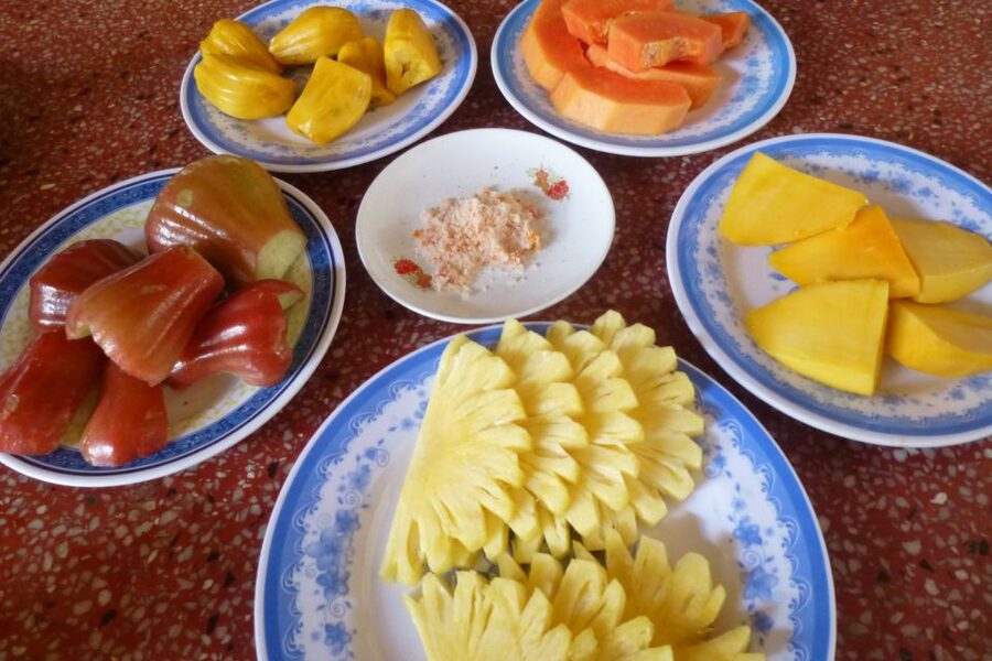 From Ho Chi Minh City: Mekong Delta VIP Tour by Limousine - Lunch in the Delta: Vegan Option, Real Food, Then a Quiet Reset
