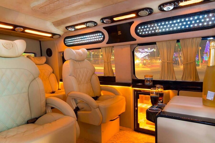 From Ho Chi Minh City: Mekong Delta VIP Tour by Limousine - The 90-Minute Limousine Ride: Rice Fields, Real Life, Then My Tho