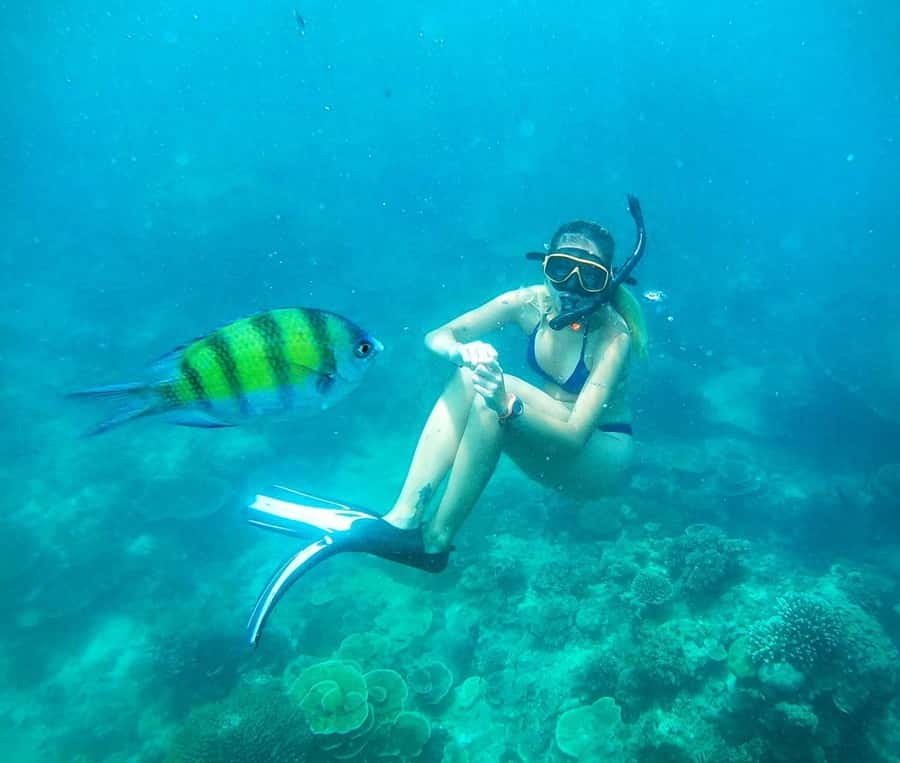 From Koh Tao: Sightseeing Tour with Snorkel by Private Car - Private Car Koh Tao: Why the Driver-Led Format Works