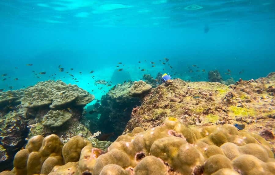 From Koh Tao: Sightseeing Tour with Snorkel by Private Car - Aow Leuk and Aow Leuk Area Swimming: When the Water Looks Unreal