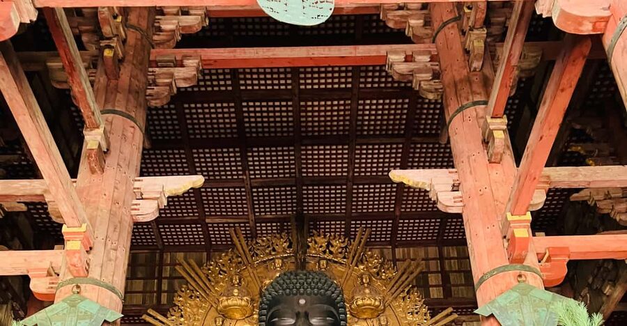 From Kyoto: Nara Private Tour with Hotel Pickup - Nara Park and Deer Feeding: Fun, Sacred, and Very Photo-Ready