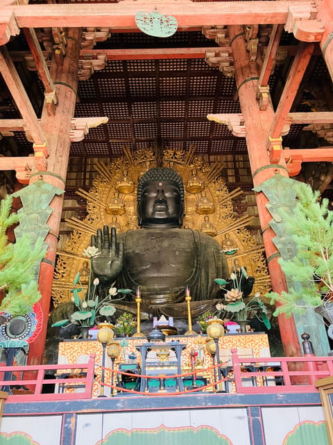 From Kyoto: Nara Private Tour with Hotel Pickup - What Masa Adds: Explanations That Make the Sights Click
