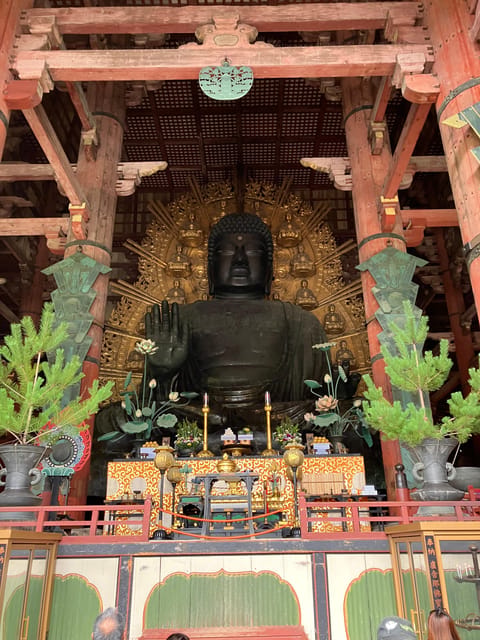 From Osaka: Nara Private Tour with Hotel Pickup - Higashimuki Shopping Street: A Short, Useful Break