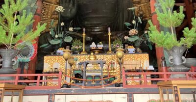 From Osaka: Nara Private Tour with Hotel Pickup - Hotel Pickup and Your Private Guide Masa