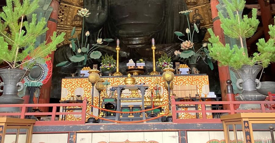 From Osaka: Nara Private Tour with Hotel Pickup - Hotel Pickup and Your Private Guide Masa