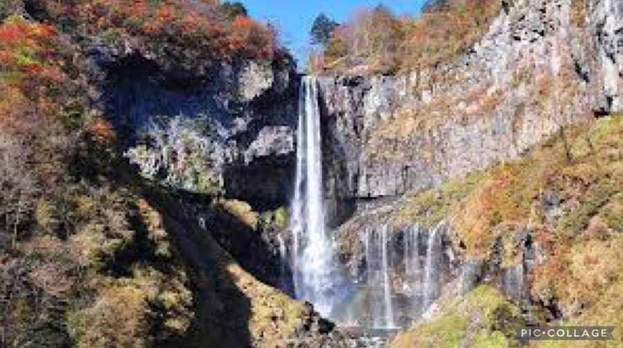 From Tokyo:Nikko Full Day Tour w/Hotel Pickup by Private Car - Price and what you’re really paying for in a private car day trip