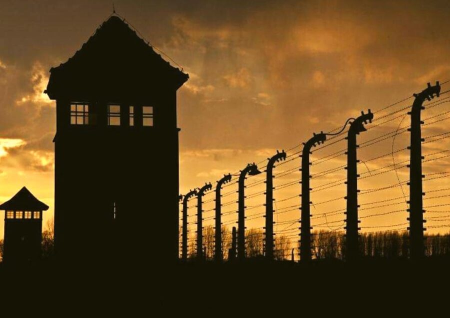 From Warsaw: Auschwitz Day Tour by Private Car with Lunch - Who this tour is best for (and who should think twice)