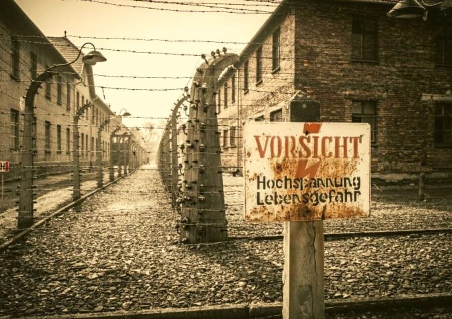 From Warsaw: Auschwitz Day Tour by Private Car with Lunch - Auschwitz and Birkenau From Warsaw: The real value is focus