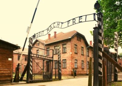 From Warsaw: Auschwitz Day Tour by Private Car with Lunch - Getting from Warsaw to Oswiecim without turning it into a hassle