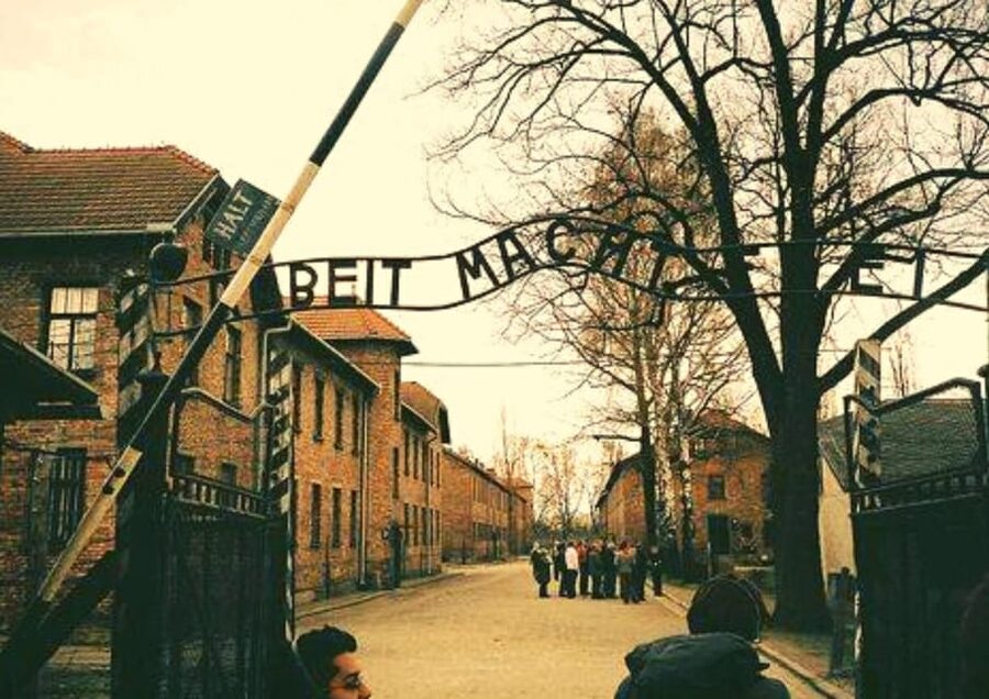 From Warsaw: Auschwitz Day Tour by Private Car with Lunch - Pace and timing: what to expect on a one-day schedule