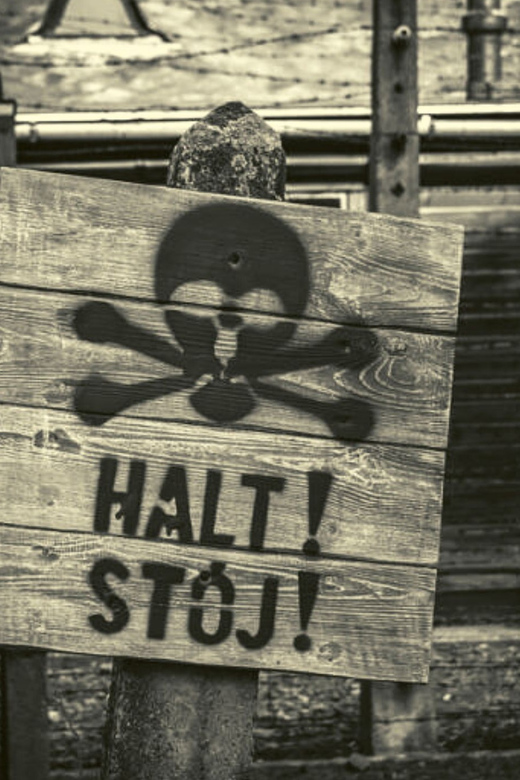 From Warsaw: Auschwitz Day Tour by Private Car with Lunch - Price and value: is $422 per person worth it?
