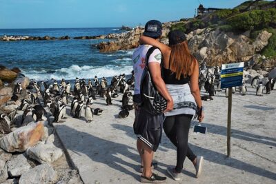 Full-Day Cape Town Private Transfers and Chauffeur Services - Your driver: why names in the seat matter here