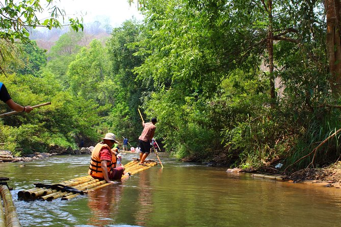 Full Day Chauffeur Driven Tuk Tuk Adventure in Chiang Mai including rafting - Elephants in Chiang Mai, with learning built into the ride