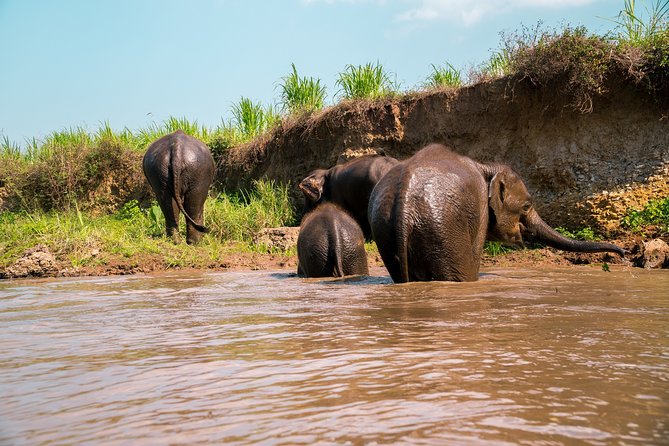Full Day Chauffeur Driven Tuk Tuk Adventure in Chiang Mai including rafting - Morning pickup and tuk-tuk riding you can actually enjoy
