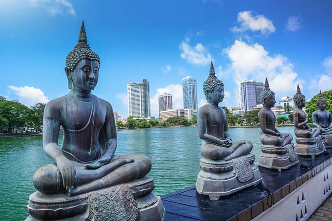 Full-Day Colombo City Tour (Private Car) - Diyatha Uyana, Dehiwala Zoo, and Gangaramaya Temple: nature, animals, and devotion