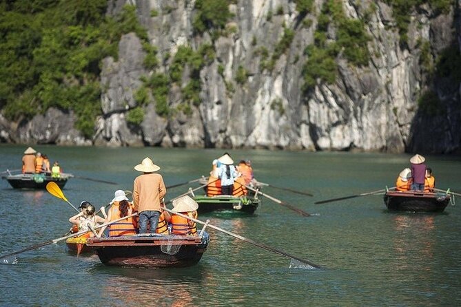 Full Day Halong Bay Luxury Limousine Bus & Buffet Lunch - Ti Top Island: beach time or the viewpoint climb