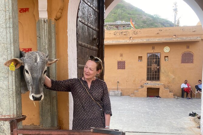 Full-Day Jaipur Sightseeing Private Tour - All Inclusive - Who this Jaipur day tour fits best (and when to skip it)