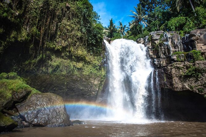 Full-Day Private Car Charter in Bali with Local Guide - Key Highlights Worth Pricing In