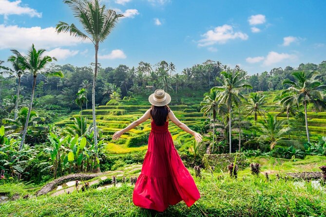 Full-Day Private Car Charter in Bali with Local Guide - Private Car Charter From Ubud: Why This Day Works