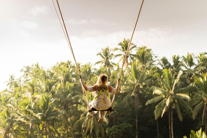 Full-Day Private Car Charter in Bali with Local Guide - Picheaven Bali Swing: The Jungle Swing Stop for Photo Lovers