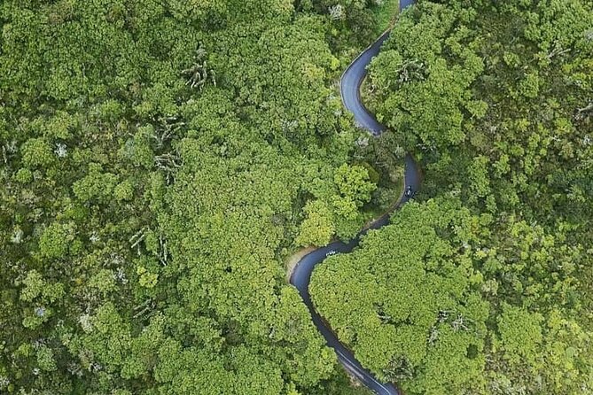 Full Day Private car only Guided SOUTH WEST of Mauritius - Gorges Viewpoint and Black River Gorges: the social-media-famous moment